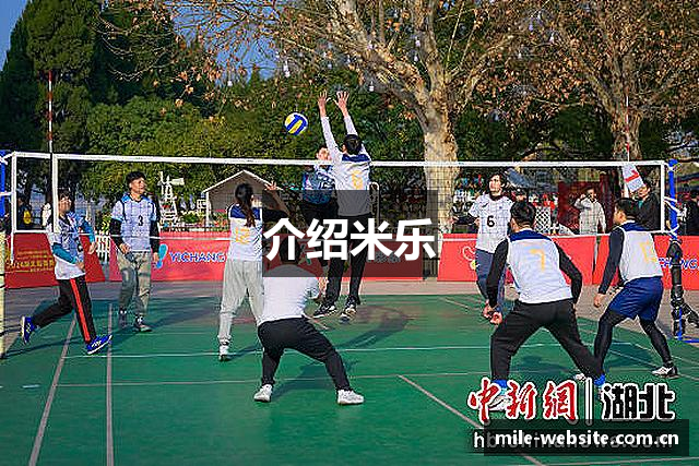 介绍米乐